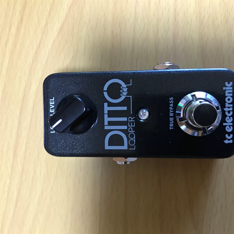 tc electronic DITTO Looperの画像